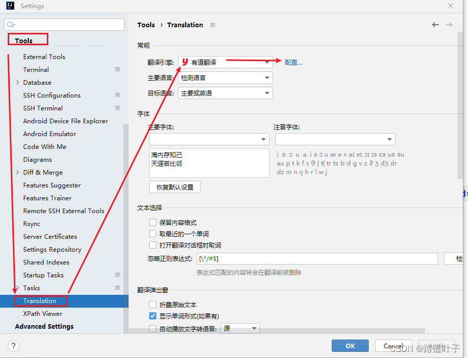 有道翻译下载提示权限不足？完整原因解析与解决方案大全